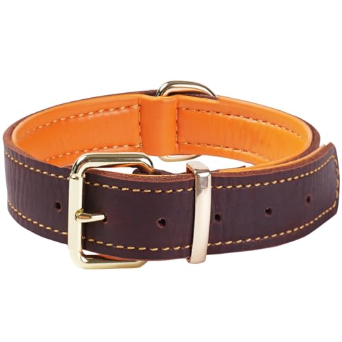 Collare per cani in pelle resistente, imbottito e realizzato a mano, per razze medie, grandi e XL, design spesso e confortevole (Marrone L)