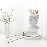 Aynaxcol David Statue Greek Head Vase Bust Face Vase Planter Head Retro Decor, Sculpture Brush Holder Bust, Makeup Brushes Container Pen Pencil Holder Statue of David Sculpture Flower Pot