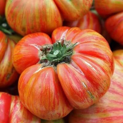 Buy4seeds 30 Seeds Tomato Hillbilly Useful for Garden and Outdoor