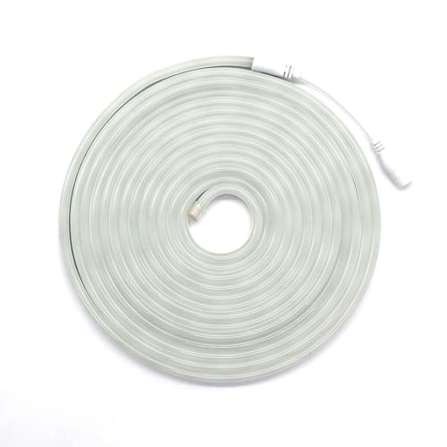 Fita Neon Led 5m 12v Corte 2,5cm Flexivel Alto Brilho (Branco Frio)