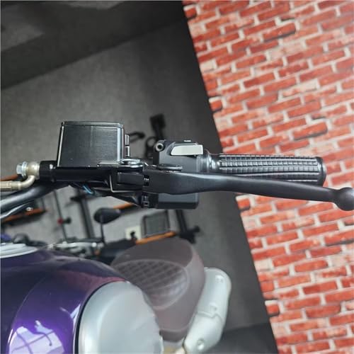 Levier de frein Ducati Scrambler DesertX 696 796 maître-cylindre