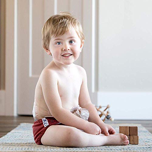 Grovia O.n.e. Reusable Baby Cloth Diaper #TOP6