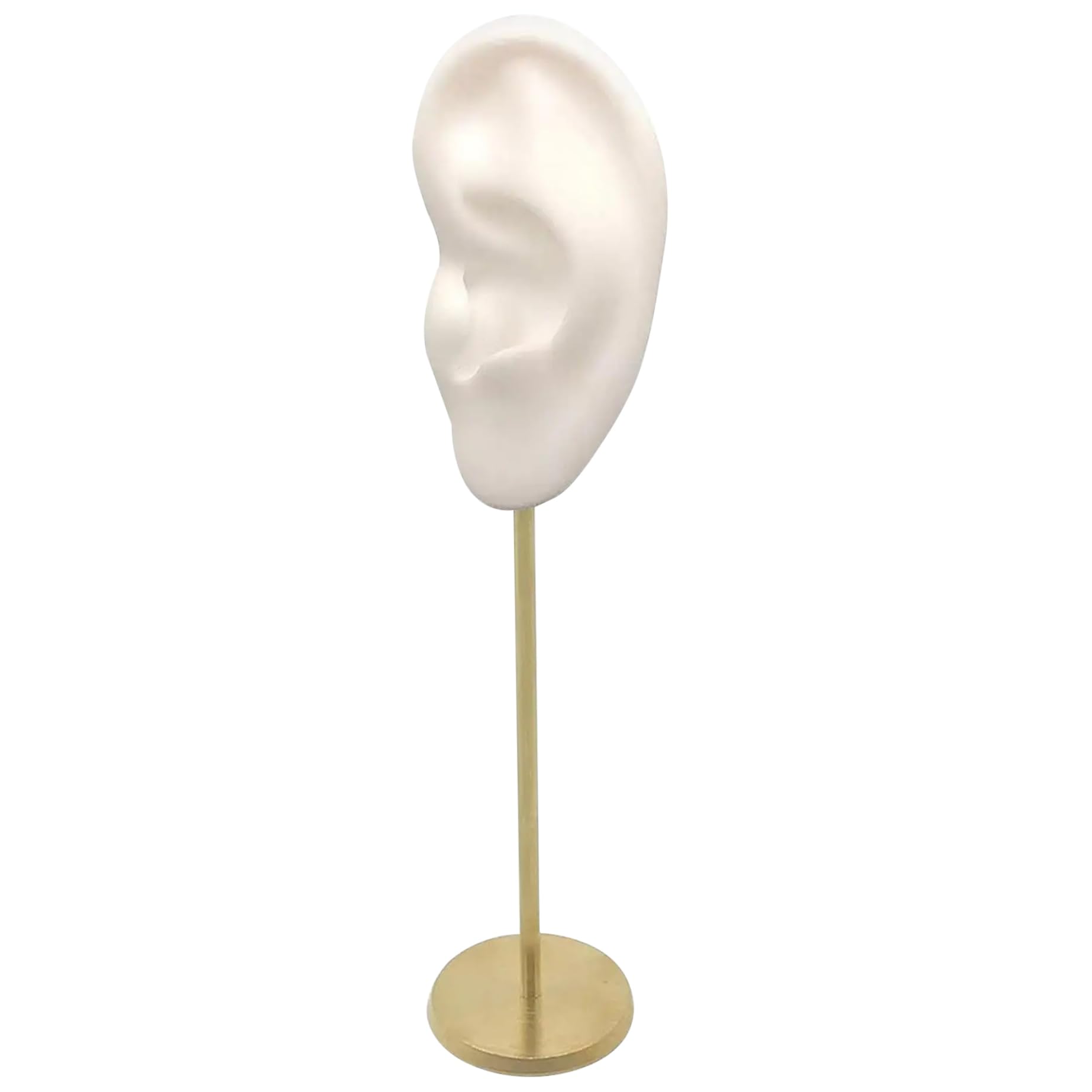 Support de boucle d'oreille avec modèle réaliste pour entraînement de perçage