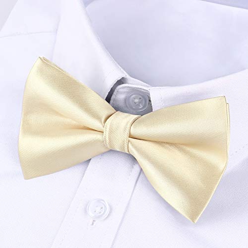 Image of HISDERN Bow Ties for Men Pretied Bowties Classic Formal Business Bow Tie Adjustable Tuxedo Bowtie for Wedding Party