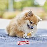 Rosewood Chewy Sticks Huhn Small – Kaustangen für Hunde mit Huhn, Rinderhautsnack, Rohhautsnack, unterstützt die Zahnpflege, ohne Getreide, ohne künstliche Zusatzstoffe, 100 g