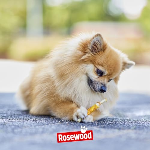 Rosewood Chewy Sticks Huhn Small – Kaustangen für Hunde mit Huhn, Rinderhautsnack, Rohhautsnack, unterstützt die Zahnpflege, ohne Getreide, ohne künstliche Zusatzstoffe, 100 g