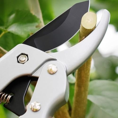 Image of garden shears, Japanese scissors gardening tools, plant pruners for flower, rose, stem, fruit tree, florist cut fresh floral clippers, sharp pruning snips (Silver - 2 pack, 2)
