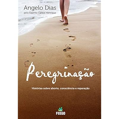 Peregrina&ccedil;&atilde;o: Hist&oacute;rias sobre aborto, consci&ecirc;ncia e repara&ccedil;&atilde;o