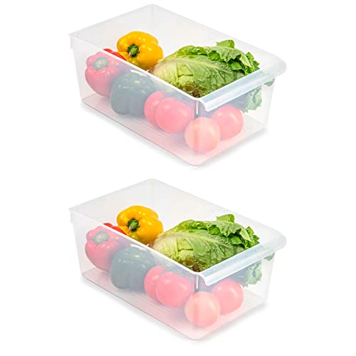 Acan Tradineur - Pack de 2 Cajones organizadores para frigorífico Nº 14 - Fabricado en Polipropileno - Recipiente de Polipropileno Transparente - 15 x 23 x 37 cm