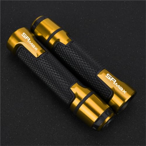 Poignée de guidon moto 22mm pour le trajet quotidien en SR Max 300