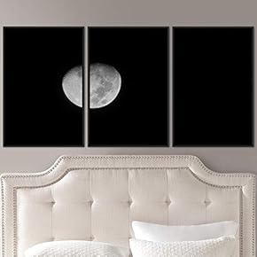 signwin 3 Piece Framed Canvas Wall Art Lunar...