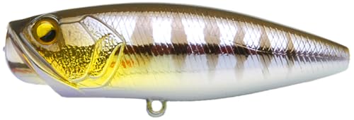 ���C�h�W���p��(Raid Japan) TWO SIDE (�c�[�T�C�h) 023.�`�M�� (TS023. CHI GILL)