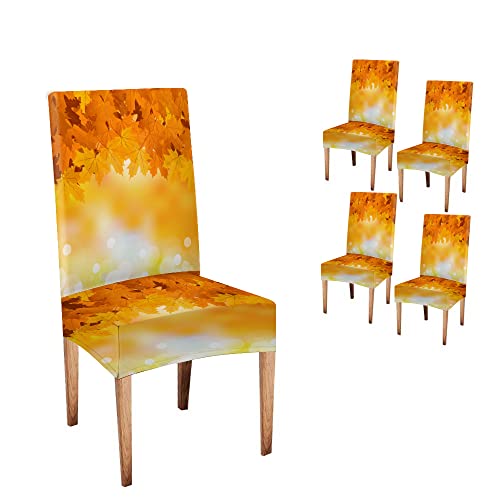 Capsceoll 0220220915030001 Maple Chair Covers For Dining Room Set Of 4 Stretch Autumn Leaves Dining Chair Cover Washable Spandex Kitchen Fall Chair Slipcovers Removable cover