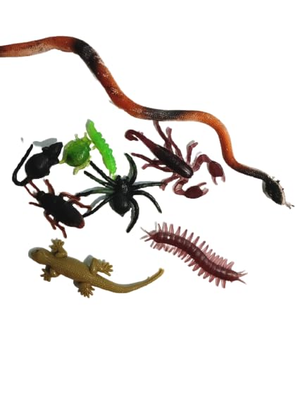 Chuz N Pick Fancy Mini Snake Reptiles Toy Figure Playing Set for Kids , Art and Craft Decoration (Pack of 12),multi-coloured,Medium