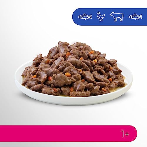 Perfect Fit Adult 1+ Katzennassfutter Auswahl mit Lachs, Hochseefisch, Rind und Huhn, 48 Portionsbeutel, 12x85g (4er Pack) – Premium Katzenfutter nass, für erwachsene Katzen ab 1 Jahr