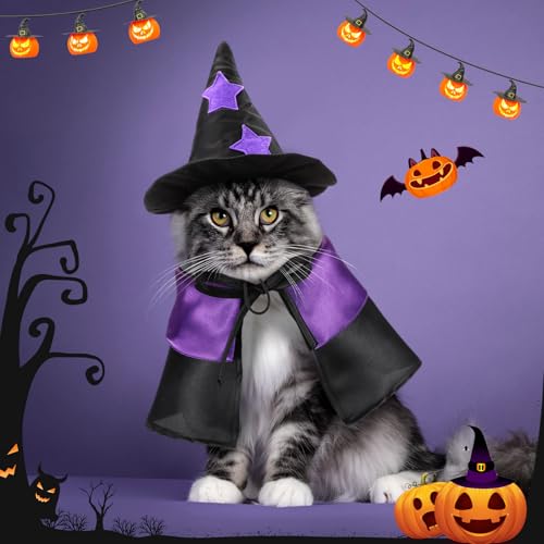 2 sets disfraz Halloween mascota gato perro miniatura 7