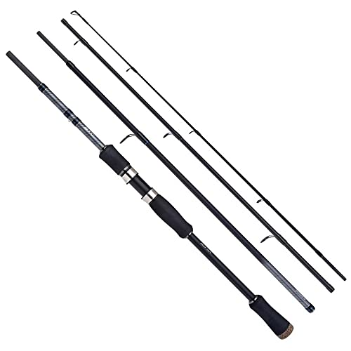 Rod STC Spinning Fast canne voyage en carbone haute sensibilité