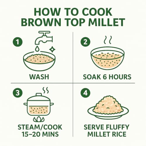 Image of ADITHI MILLETS Browntop Millet Rice 1.5kg (500g x 3 Pack) | Choti Kangni /Andu Korralu /Korale | Unpolished Whole Grain | High Fiber | Stone-Free | Natural & Healthy