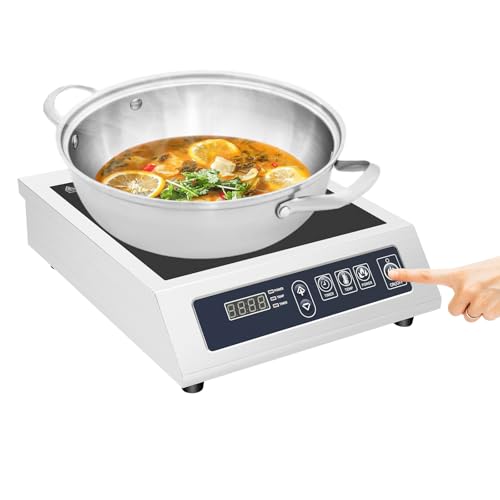 HuKaiL Cocina de inducción individual, placa de inducción de 3500 W, 1 placa con 13 potencias, diámetro interior de 300 mm, junta de aceite de inducción de panel de cristal+acero inoxidable con