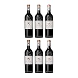 Château Pape-Clement rouge Rotwein Rot trocken Frankreich inkl. FeinWert E-Book (6 x 0.75 l)