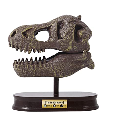 Buki - 2130 - Museum dino skull - t-rex