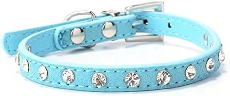 tiffany blue cat collar