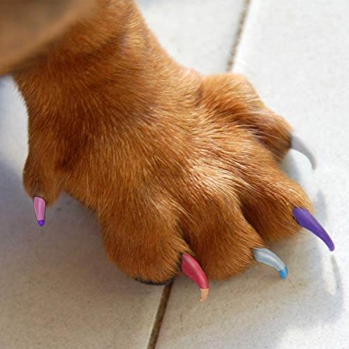 Lesotc Dog Nail Polish Set, 6 Color Set thumb #3