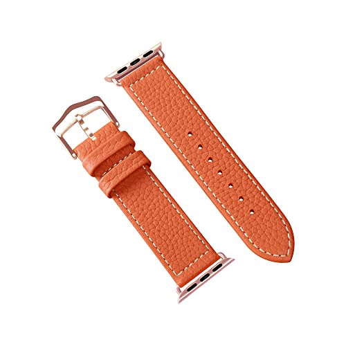 COGURE RO Apple Watch oh {v Rp`u AbvEHb`oh xg fB[X jp Series 10 9 8 7 SE 6 5 4 3 2 1 S@Ή Mtg{bNX COP01 38mm 40mm 4