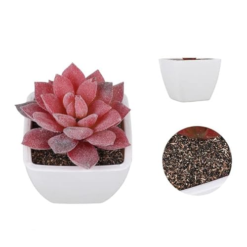 JOYDREAMDESIGN Neue Künstliche Pflanzen Bonsai Kleiner Baum Topf Gefälschte Pflanze Blumen Topf Ornamente Für Zuhause Zimmer Tisch Pulp Pot Garten Decor-G