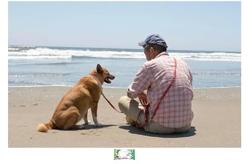 【予約開始】海辺の犬。「雑種犬ララ子と農家のトシさん 」初フォトブック Youtube ２億回再生で大反響 ウェットシート 2点セット
