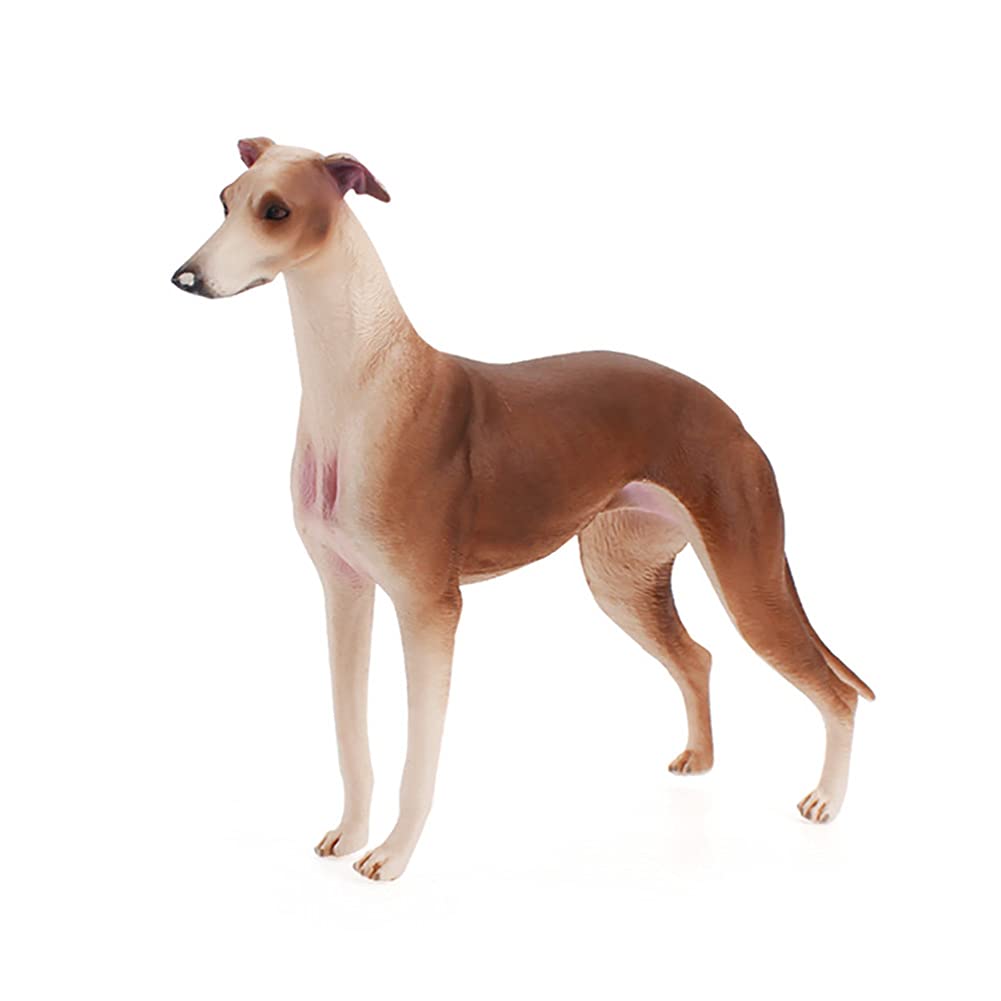 DOYIFUN Realistic Greyhound Model Toy Figures, Simulated Dog Figurine Collections Playset for Home Office Automobile Decoration