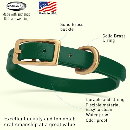 Image of Viper Biothane Heavy Duty Waterproof Dog Collar Strong Coated Nylon Webbing w /Solid Brass Hardware Odor-Proof Easy to Clean High Performance Fits Small Medium or Large Dogs, Hunter Green
