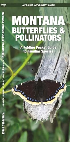 Montana Butterflies & Pollinators (Nature Observation North America)