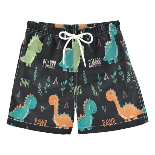 Boys Short Swim Trunks, Toddler Swim Trunk 2t, Cute Dino