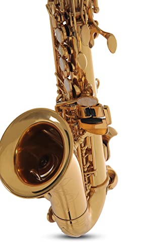 Roy Benson Bb-Sopran Saxophon SG-302 (Premium Messing Design, mit ergonomischem RND S-Bogen, Hoch F#-Klappe, PISONI Polster, Transport-Leichtetui, mit Rucksackgarnitur)