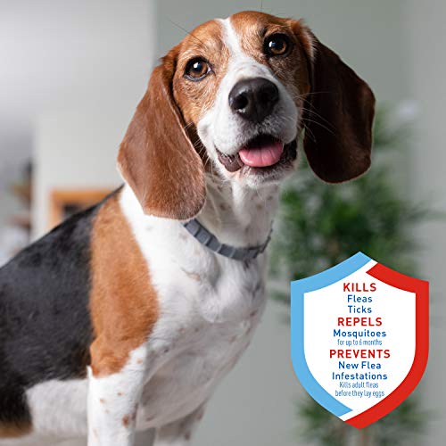Adams Flea & Tick Collar Plus for Dogs & Puppies, 6-Month Protection, One Size Fits All Dogs & Puppies, Kills Fleas… - Image 3
