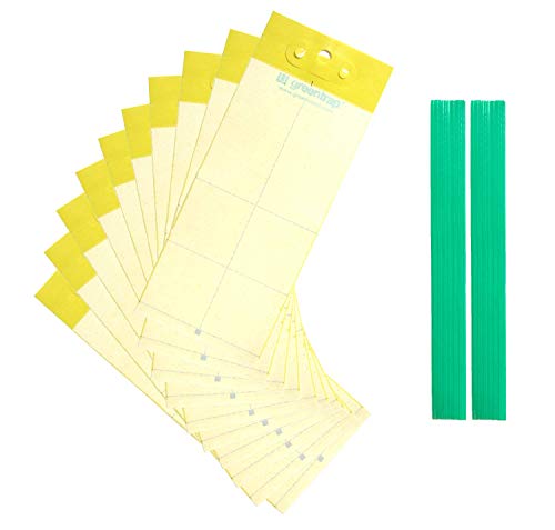 Greentrap Lot de 10 pièges adhésifs pour insectes avec papier protecteur avec colle double face + attaches de fixation (jaune) Cover