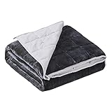 Satwip Weighted Blanket 10 Pounds Grey Fuzzy Warm Flannel Bed Blanket for Adults with Soft Breathable Sanded, 48 x 72 inches, Grey