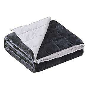 Satwip Weighted Blanket 10 Pounds Grey Fuzzy Warm Flannel Bed Blanket for Adults with Soft Breathable Sanded, 48 x 72 inches, Grey