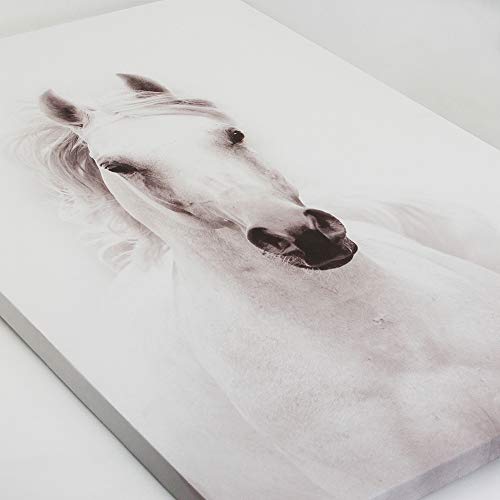 Sumgar Modern Wall Art Bedroom Black And White Horse Pictures Office Farmhouse Animal Canvas Paintings Contemporary Prints Framed Artwork Living Room Home Decorations Gifts,16X24 Inch #TOP5