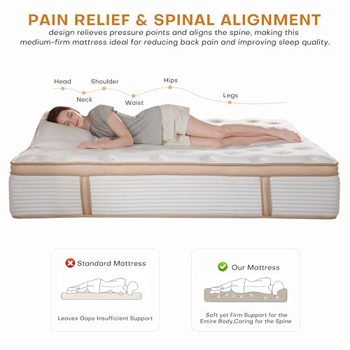 Queen Mattress,12 Inch Hybrid Mattress in a Box: Memory Foam & Pocket Springs for Pressure Relief, Motion Isolation, Medium Firm,CertiPUR-US Certified,Fiberglass Free, 365 Night Trial