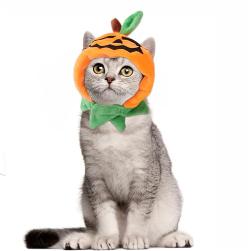Disfraz de calabaza de Halloween para gato, tocado para perro, para fiesta de Halloween, accesorio divertido para la cabeza del festival (calabaza de hoja verde)