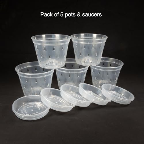 Greenology 15cm / 6" Pack of 5 Orchid Flower Pots with Saucers and Side Drainage in Durable Soft Clear Plastic - Image 4