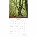 Gladstone Media, Witches’ Woods 2026 Square Wall Calendar