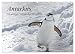 Produktbild Antarktis, die eisige Heimat der Pinguine (Wandkalender 2026 DIN A2 quer), CALVENDO Monatskalender: Ein kleiner Einblick in die bezaubernde, eisige Natur am südlichen Ende der Welt. (CALVENDO Natur)