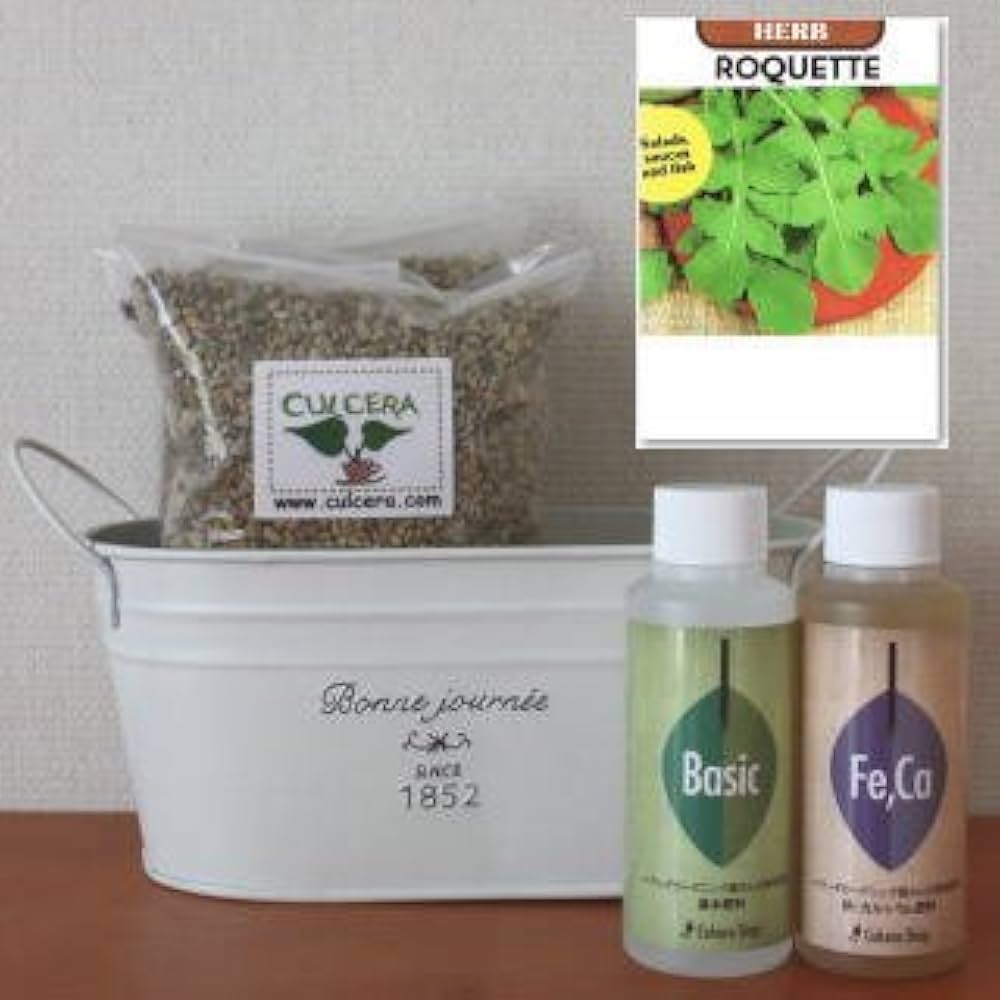 ＊ルッコラページ＊ 楽天市場】ルッコラ Rocket Salad, Rucola / アブラナ科 Eruca