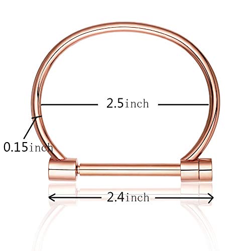 Carweilon Cuff Bracelet Bangle Bar Screw Shackle Novelty High Polished Stainless Steel Jewelry For Men Women Unisex Girls Boy (Rose Gold) #TOP3