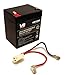 Razor PowerRider 360 Replacement Battery Part# W20136401003 Includes Wiring Harness by VICI Battery TM