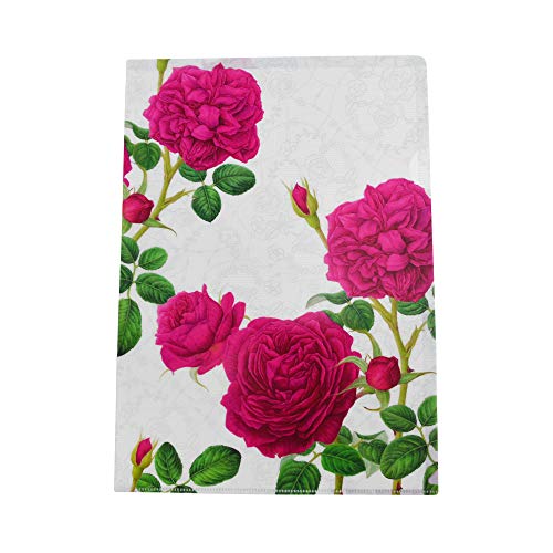 A4NAtH_[ TeOWy teBA ԕ o [Y fUC