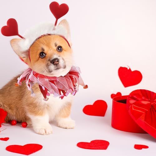 Disfraz para perro con cabeza de corazón rojo brillante y tutu miniatura 4